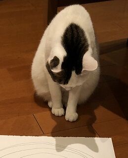 ぐるぐる4