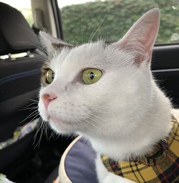 かえりみち7