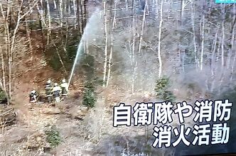 山火事2