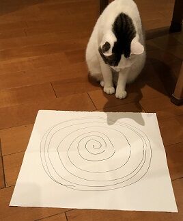 ぐるぐる5