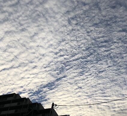 空1