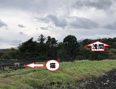 雨7