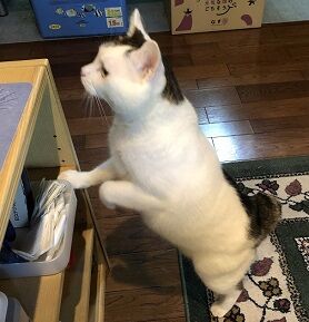 ここが違う5