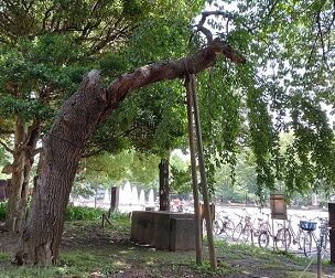 上野 (5)