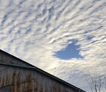 空4