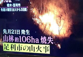 山火事1