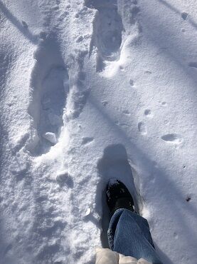 雪だもので3