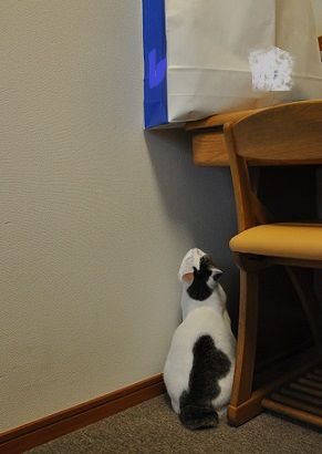 一人遊び2