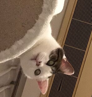 視点0