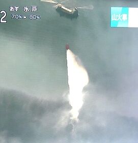山火事3