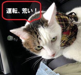 かえりみち5