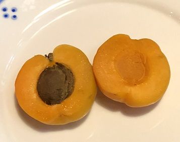 うまいよ9
