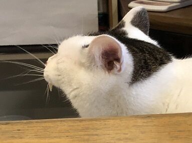 プレッシャー6
