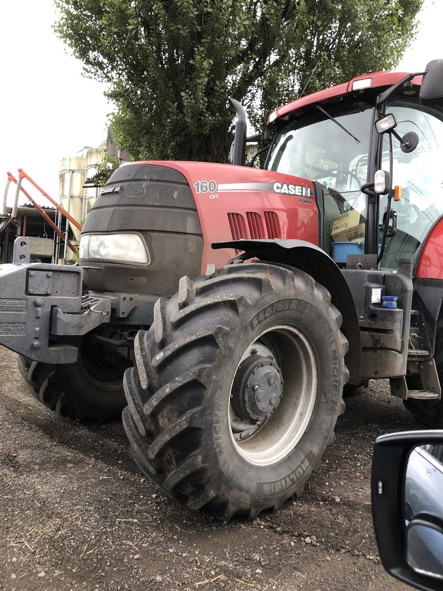 ミーハーの外車好き ゆずの本箱