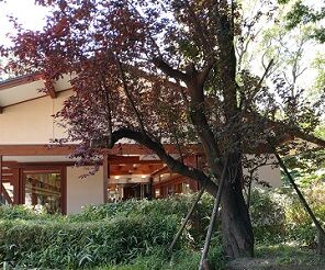 上野 (4)