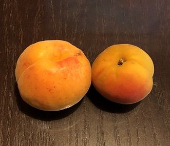 うまいよ5