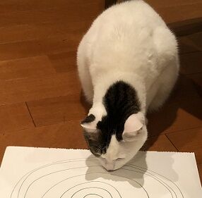 ぐるぐる9