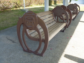 P1020045