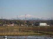IMG_2866