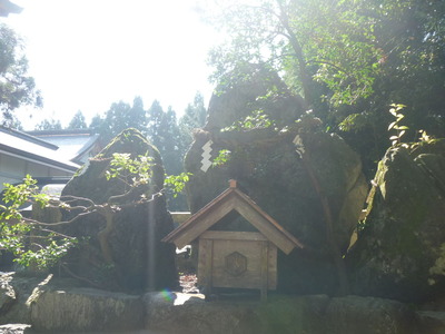 P1020078