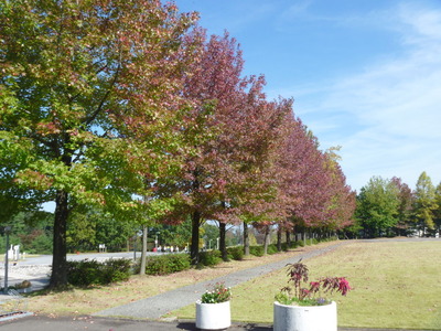 P1020043