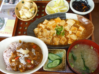 P1010136