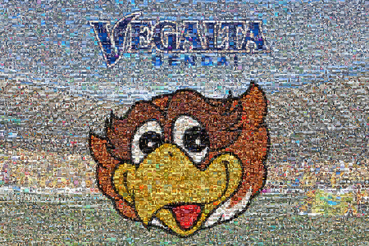 ベガルタ仙台 クラブ創立25周年記念フォトモザイクフラッグ制作の写真募集 サッカー なんでもニュース