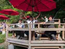 line_oa_chat_241031_143548_group_6