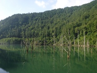 DSCF8502