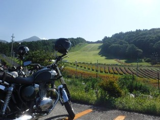 DSCF7189