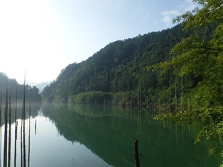 DSCF8495