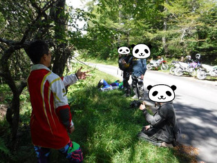 BlogPaint