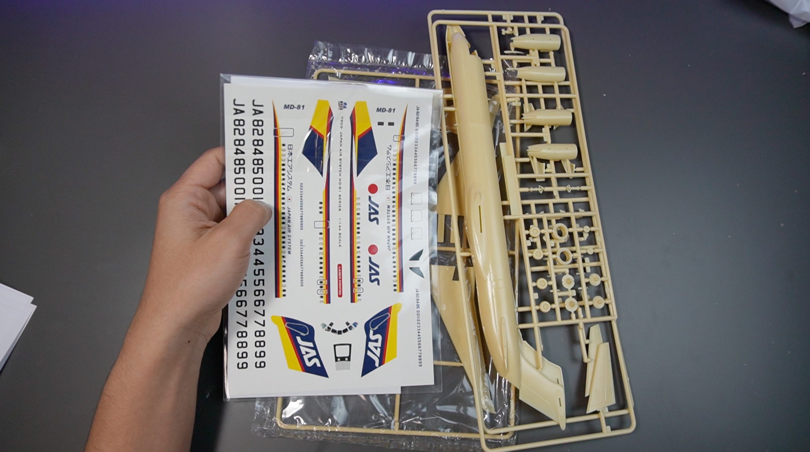 日本エアシステム MD-81 【進行中 5/16】 : マキビシ小次郎 / McInvish546