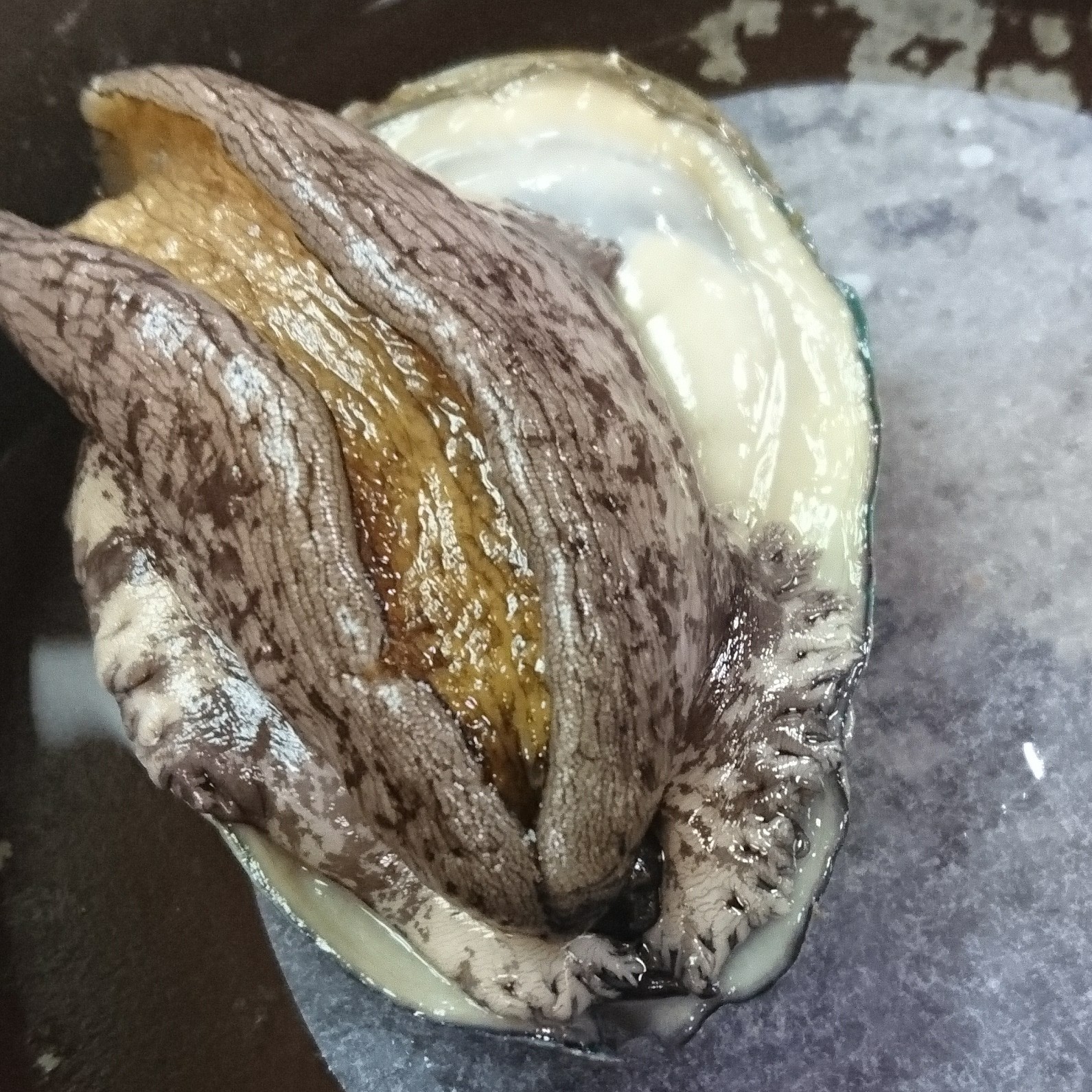 アワビ踊り焼き うまいもの食べよう 至福の時 仕事 Vでもね 突っ走る営業マンblog 突っ走る旅びとblog じんちゃんlegend アワビ踊り焼き うまいもの食べよう 至福の時 仕事 Vでもね 突っ走る営業マンblog 突っ走る旅びとblog じんちゃんlegend