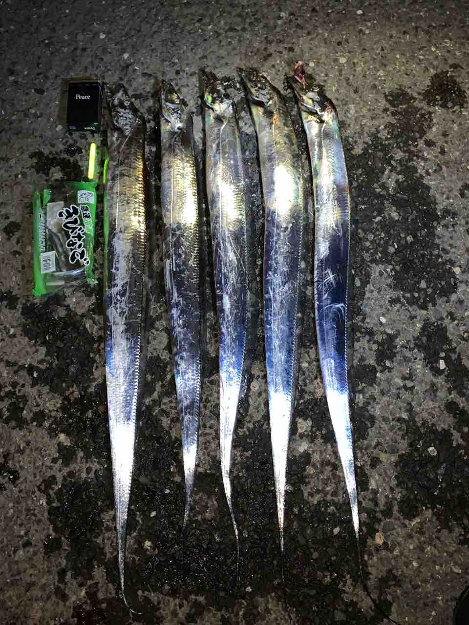 大黒埠頭 ベイブリッジ下 アジと太刀魚 自然派 No Fishing No Life