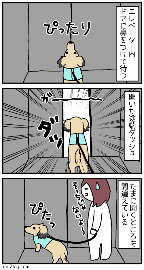 2019101701