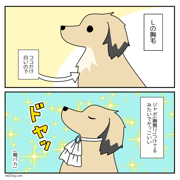 また犬の胸毛のことかいてる ミニチュアダックス2ひきのきろく シニア犬漫画日記 また犬の胸毛のことかいてる ミニチュアダックス2ひきのきろく シニア犬漫画日記