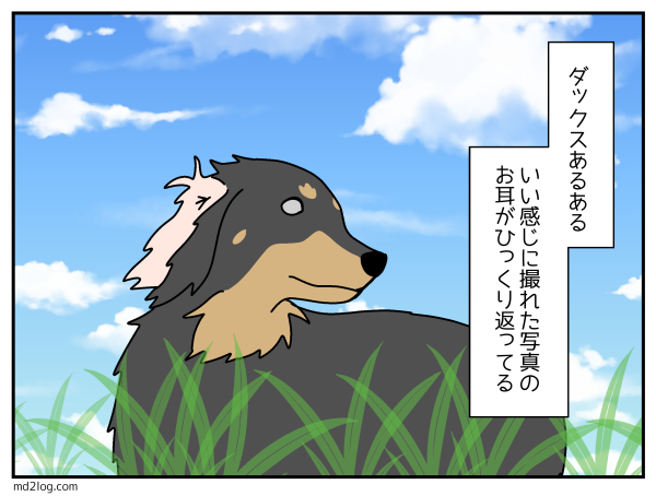 20200529