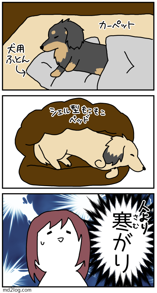 2019101901