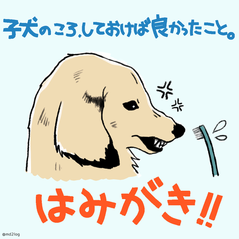 koinuyo01