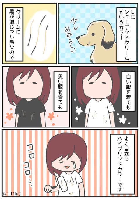 manga01
