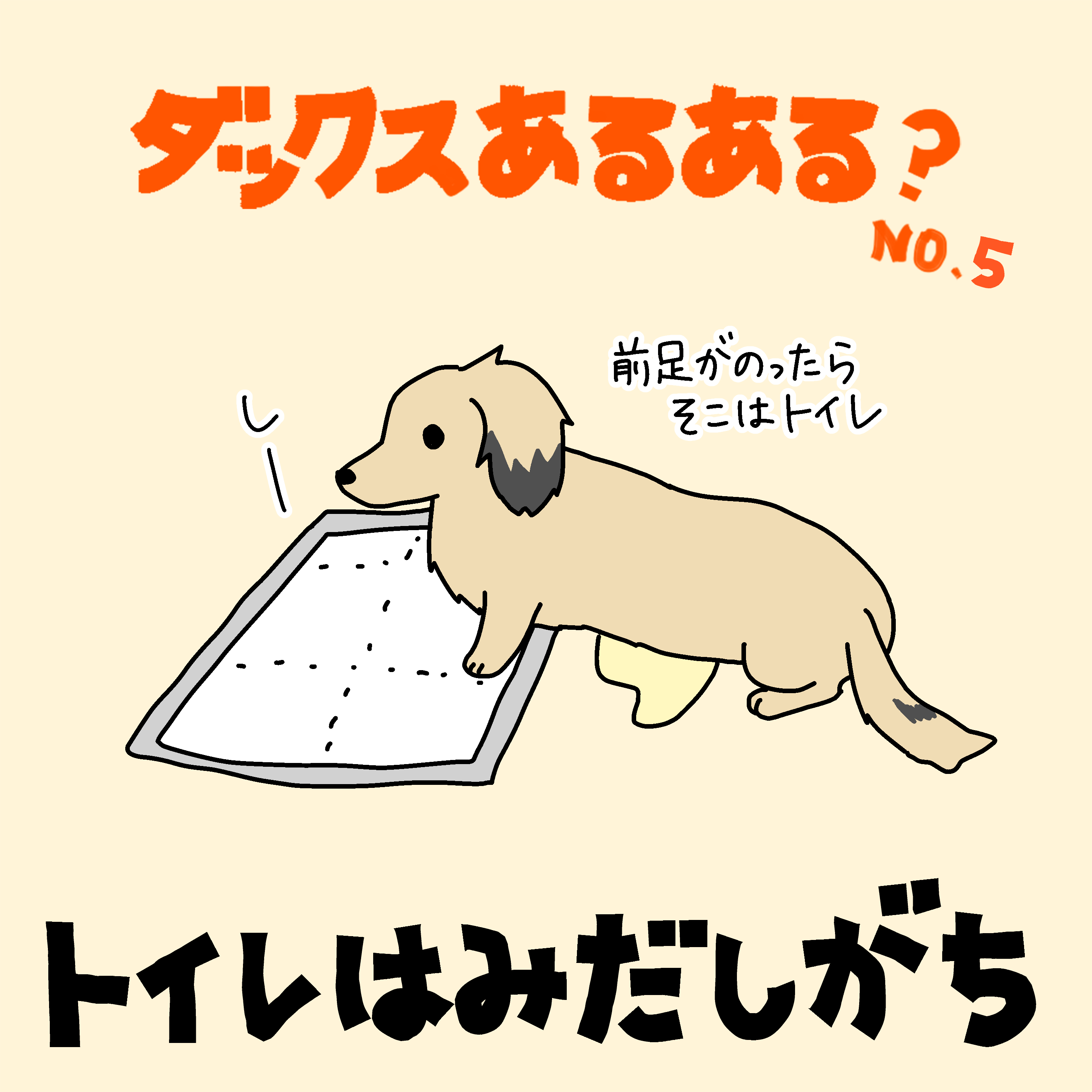 ダックスあるある トイレ ミニチュアダックス2ひきのきろく シニア犬漫画日記