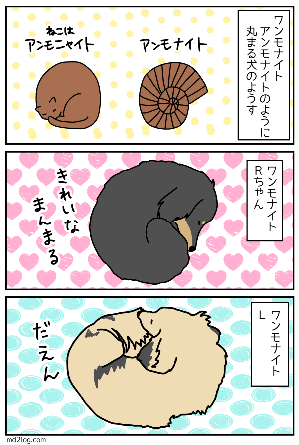 ワンモナイト ミニチュアダックス2ひきのきろく シニア犬漫画日記