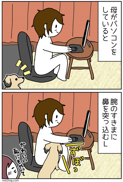 2019112601
