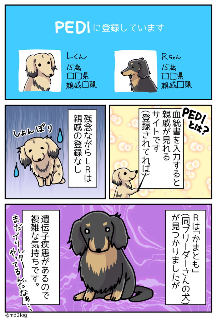 兄弟犬を見つけたい ミニチュアダックス2ひきのきろく シニア犬漫画日記 兄弟犬を見つけたい ミニチュアダックス2ひきのきろく シニア犬漫画日記