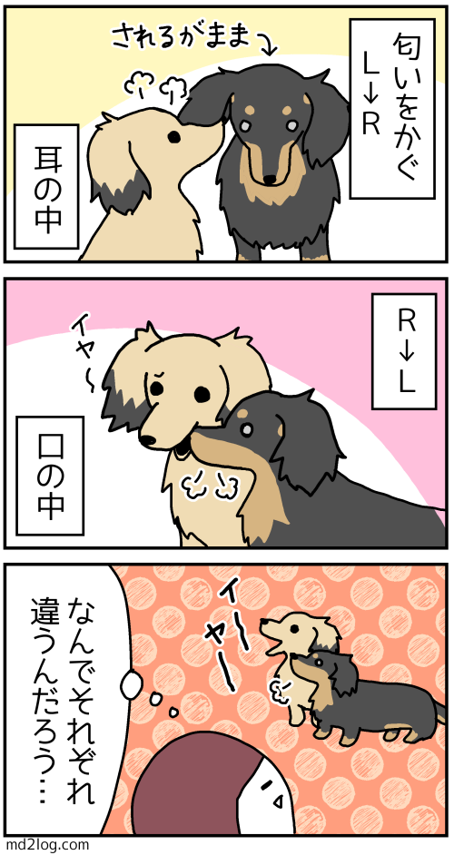 2019102001