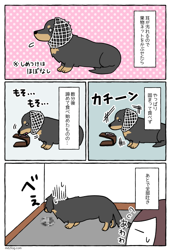 20201022