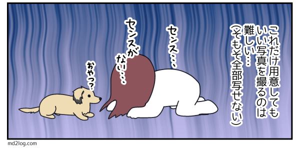 2020042102