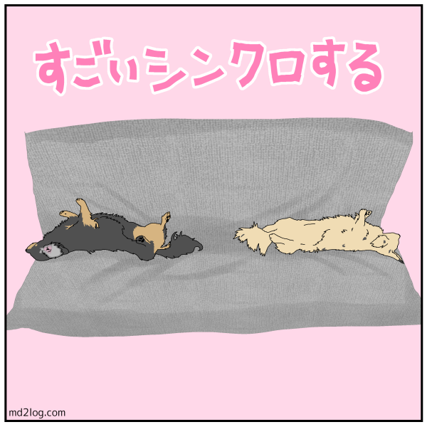 AD7B5CB8-C822-4055-AC39-88C9F47C430C