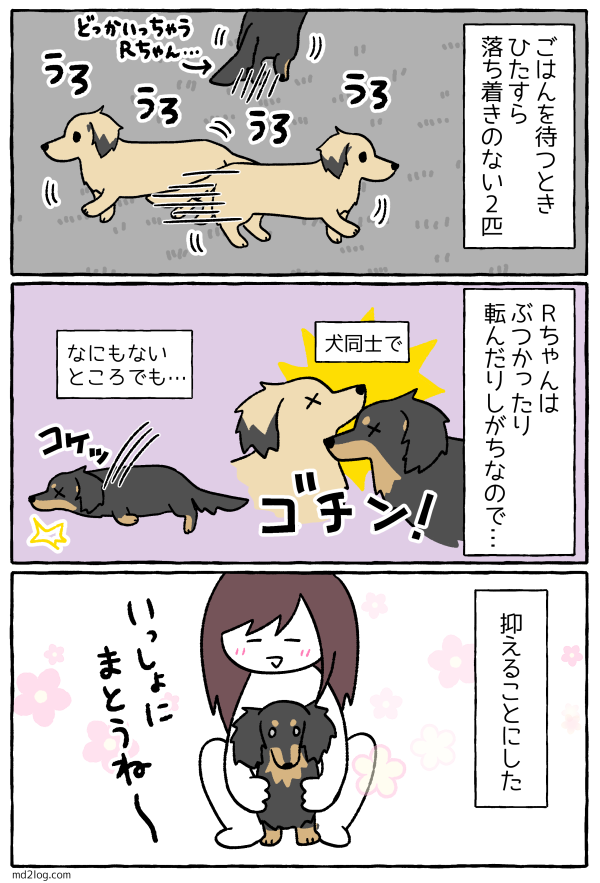 20201115